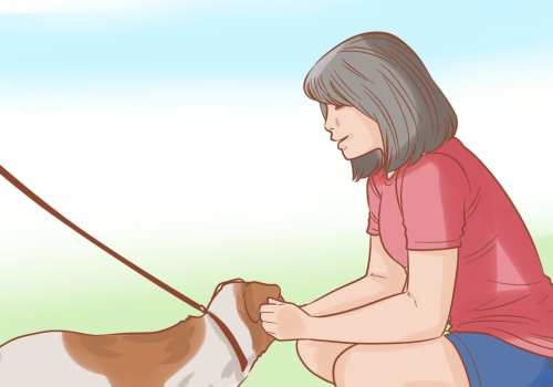 Caring for Your Dog: A Guide to Meeting Their Basic Needs