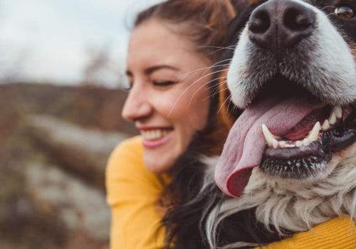 How to Keep Your Pet Healthy and Happy